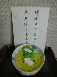 DSCN9856
