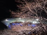 20160324_214558(0)