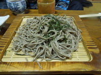 DSCN8380