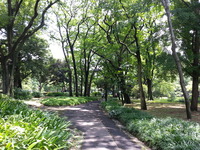 20160620_110204