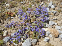 DSCN0866