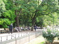 DSCN0677