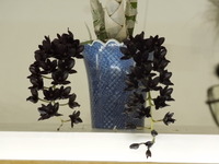 DSCN0023