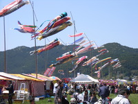 RIMG0032