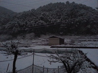 20170123_065414