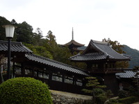 DSCN5911
