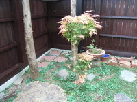 RIMG0439
