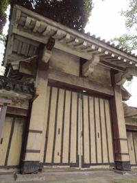 DSCN0480