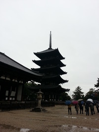 20141125_111021