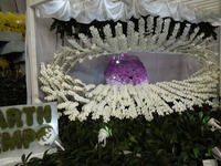 DSCN4683