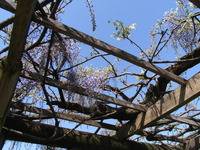 RIMG0769