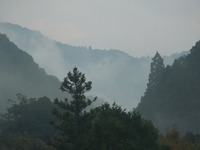 DSCN1310