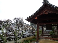 DSCN5601
