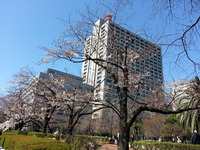 20150325_125936