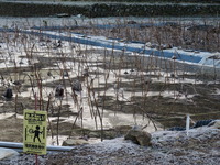 IMG_0755
