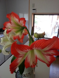 20150526_081820