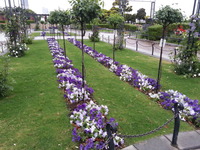 20160517_170145