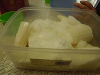 DSCN1225