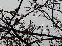 20161026_063127