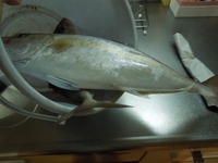 DSCN0137