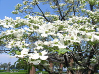 RIMG0067