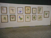 DSCN0447
