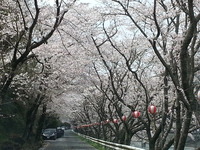 20170409_115236