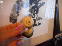 DSCN0801