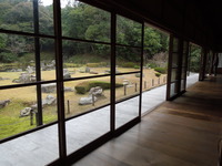 DSCN5852