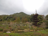 DSCN5932