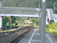 RIMG0007