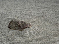 DSCN5846