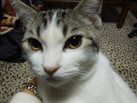 DSCN1398