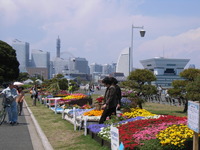 RIMG0081