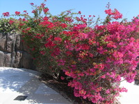 RIMG0882