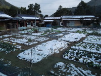 DSCN9892
