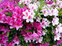 20150430_150328