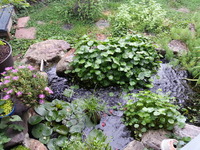 20170719_153329