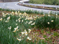 DSCN0057