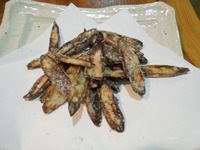 DSCN0092