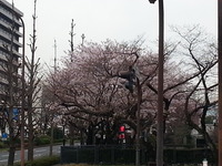 20160323_100514
