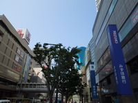 DSCN0608