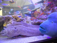DSCN0459