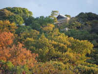 DSCN0893
