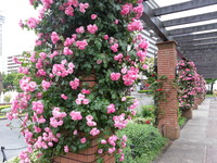 20160517_164944(0)