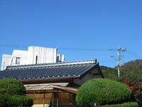 RIMG1495