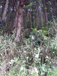 20150416_142117