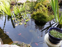20150329_161809