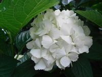 RIMG0153