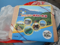 DSCN2820
